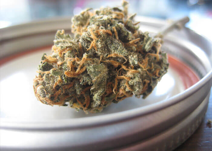 Cannabis Strains